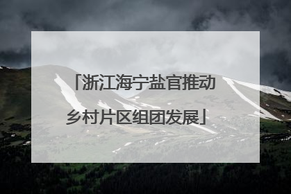 浙江海宁盐官推动乡村片区组团发展