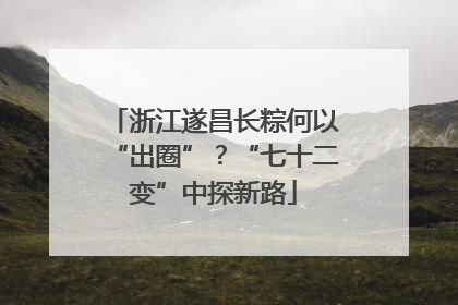 浙江遂昌长粽何以“出圈”？“七十二变”中探新路
