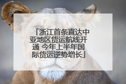 浙江首条直达中亚地区货运航线开通 今年上半年国际货运逆势增长