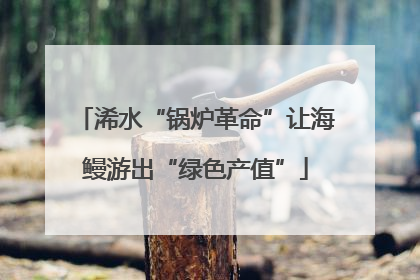 浠水“锅炉革命”让海鳗游出“绿色产值”
