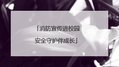 消防宣传进校园 安全守护伴成长
