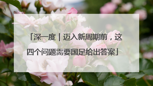 深一度｜迈入新周期前，这四个问题需要国足给出答案
