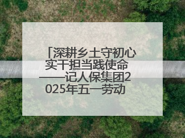 深耕乡土守初心 实干担当践使命——记人保集团2025年五一劳动奖状获得者、人保财险江苏南通海安支公司