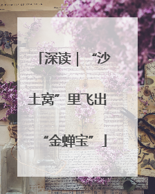 深读｜“沙土窝”里飞出“金蝉宝”