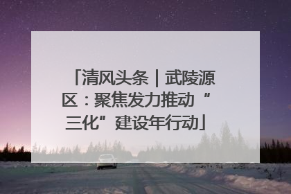 清风头条｜武陵源区：聚焦发力推动“三化”建设年行动