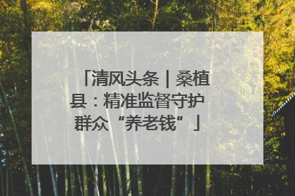 清风头条｜桑植县：精准监督守护群众“养老钱”
