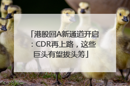 港股回A新通道开启：CDR再上路，这些巨头有望拔头筹