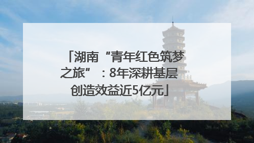 湖南“青年红色筑梦之旅”：8年深耕基层创造效益近5亿元