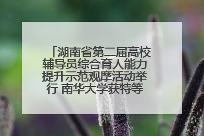 湖南省第二届高校辅导员综合育人能力提升示范观摩活动举行 南华大学获特等奖和一等奖