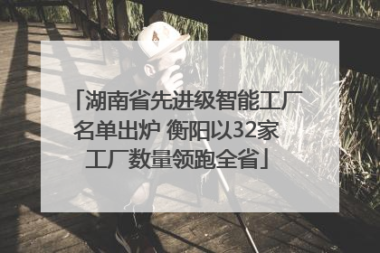 湖南省先进级智能工厂名单出炉 衡阳以32家工厂数量领跑全省