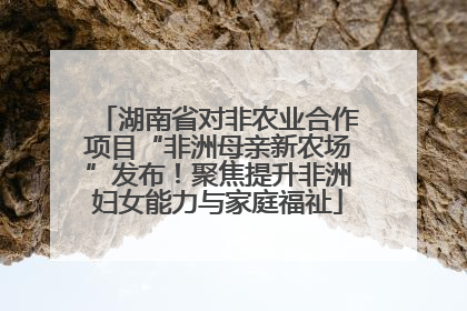 湖南省对非农业合作项目“非洲母亲新农场”发布！聚焦提升非洲妇女能力与家庭福祉