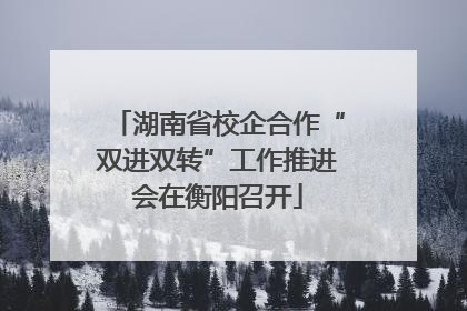 湖南省校企合作“双进双转”工作推进会在衡阳召开