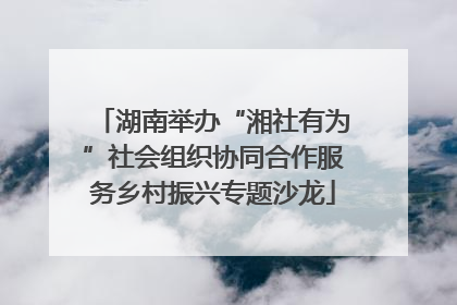 湖南举办“湘社有为”社会组织协同合作服务乡村振兴专题沙龙