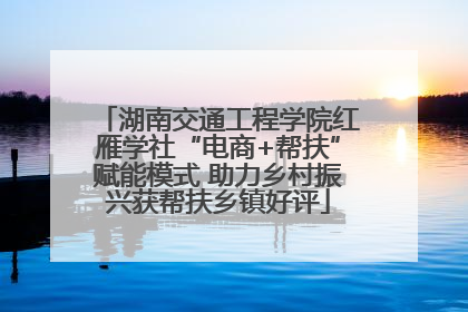 湖南交通工程学院红雁学社“电商+帮扶”赋能模式 助力乡村振兴获帮扶乡镇好评