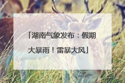 湖南气象发布：假期大暴雨！雷暴大风