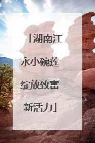 湖南江永小碗莲绽放致富新活力