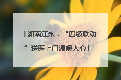 湖南江永：“四级联动”送医上门温暖人心