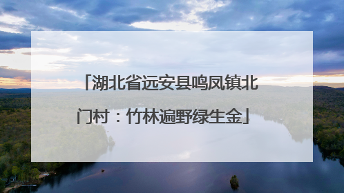 湖北省远安县鸣凤镇北门村：竹林遍野绿生金