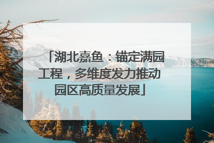 湖北嘉鱼：锚定满园工程，多维度发力推动园区高质量发展