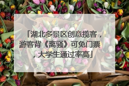 湖北多景区创意揽客，游客背《离骚》可免门票，大学生通过率高
