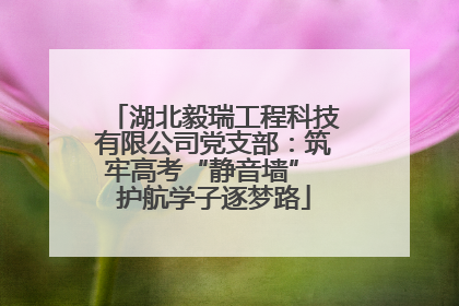 湖北毅瑞工程科技有限公司党支部：筑牢高考“静音墙” 护航学子逐梦路