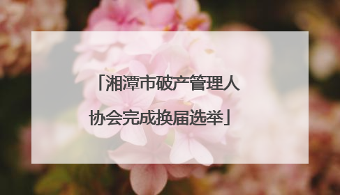 湘潭市破产管理人协会完成换届选举
