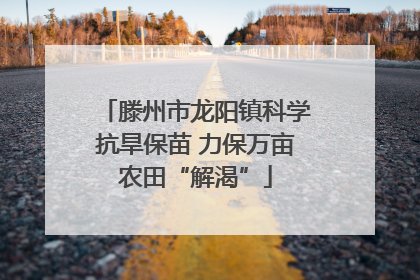 滕州市龙阳镇科学抗旱保苗 力保万亩农田“解渴”