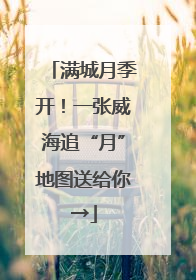 满城月季开！一张威海追“月”地图送给你→