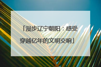 漫步辽宁朝阳：感受穿越亿年的文明交响
