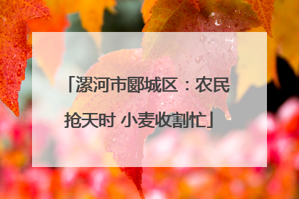 漯河市郾城区：农民抢天时 小麦收割忙