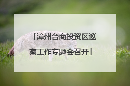 漳州台商投资区巡察工作专题会召开