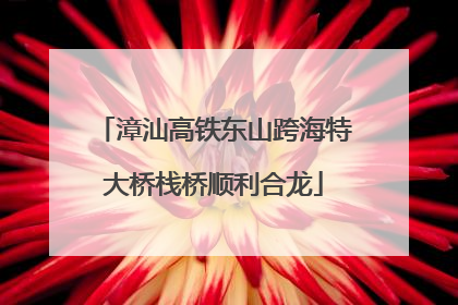 漳汕高铁东山跨海特大桥栈桥顺利合龙