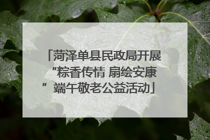 菏泽单县民政局开展“粽香传情 扇绘安康”端午敬老公益活动