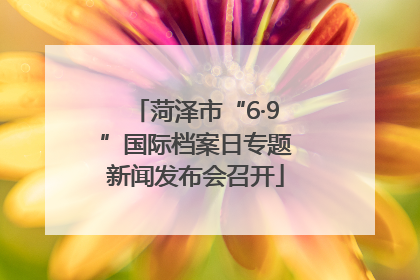 菏泽市“6·9”国际档案日专题新闻发布会召开