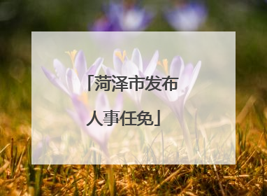 菏泽市发布人事任免