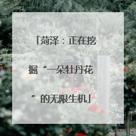 菏泽：正在挖掘“一朵牡丹花”的无限生机
