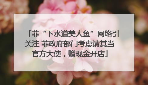 菲“下水道美人鱼”网络引关注 菲政府部门考虑请其当官方大使，赠现金开店
