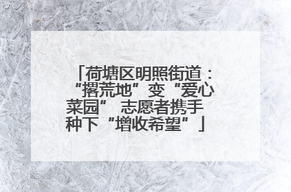 荷塘区明照街道：“撂荒地”变“爱心菜园” 志愿者携手种下“增收希望”