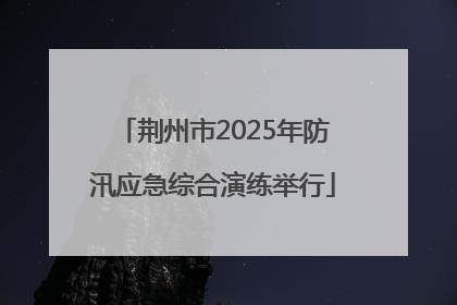 荆州市2025年防汛应急综合演练举行