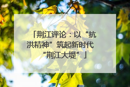 荆江评论：以“抗洪精神”筑起新时代“荆江大堤”