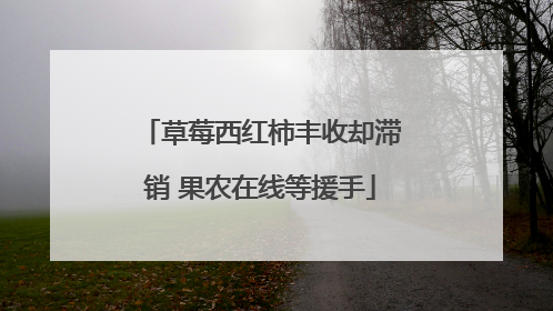 草莓西红柿丰收却滞销 果农在线等援手