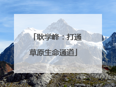耿学峰：打通草原生命通道