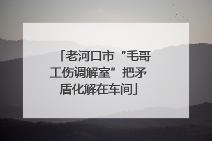 老河口市“毛哥工伤调解室”把矛盾化解在车间