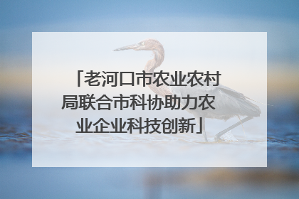 老河口市农业农村局联合市科协助力农业企业科技创新
