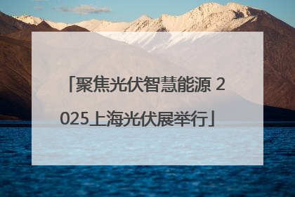 聚焦光伏智慧能源 2025上海光伏展举行
