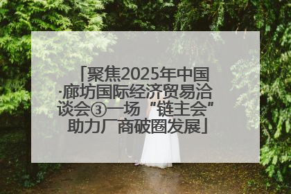 聚焦2025年中国·廊坊国际经济贸易洽谈会③一场“链主会” 助力厂商破圈发展