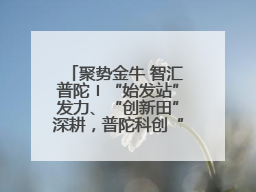 聚势金牛 智汇普陀〡“始发站”发力、“创新田”深耕，普陀科创“金牛”闪耀