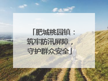 肥城桃园镇：筑牢防汛屏障，守护群众安全