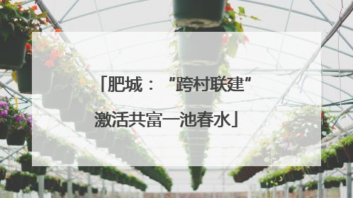 肥城：“跨村联建”激活共富一池春水