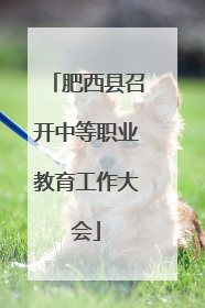 肥西县召开中等职业教育工作大会